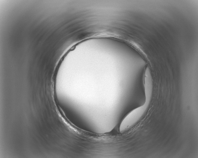 X0000052941476200508050843