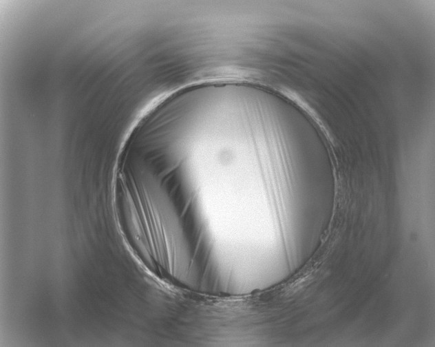 X0000052941477200508050843