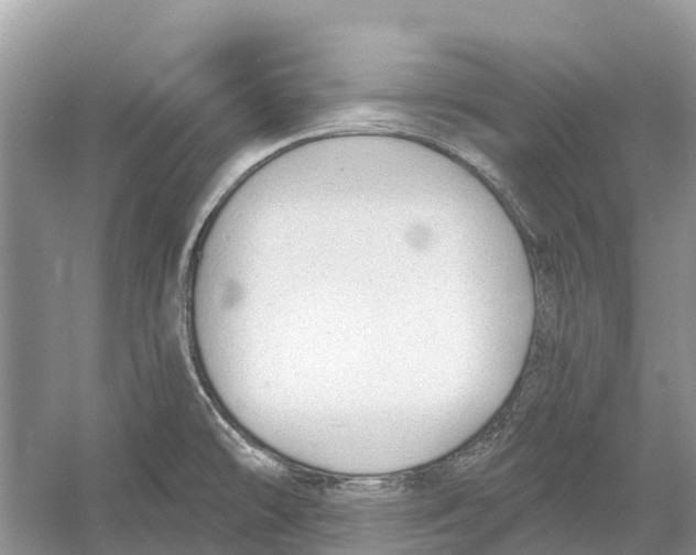 X0000052941478200508050843