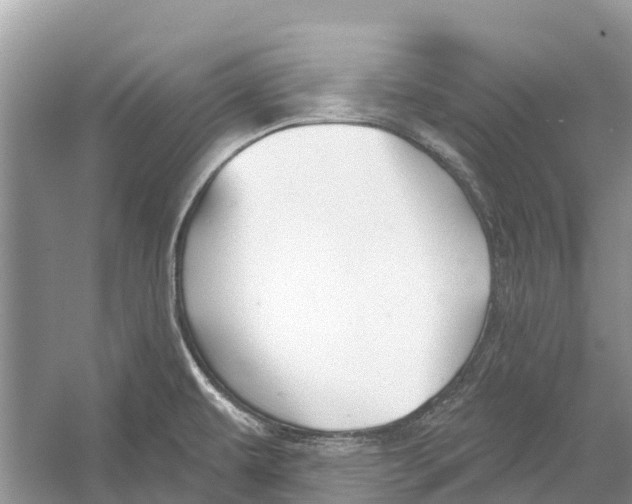 X0000052941479200508050843