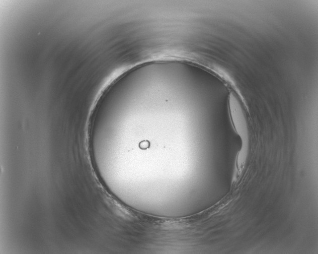 X0000052941480200508050843