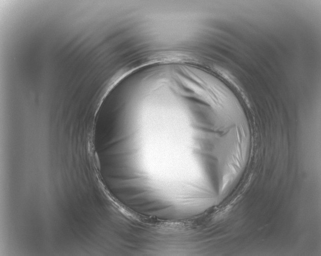 X0000052941481200508050843