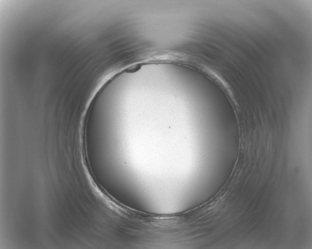 X0000052941483200508050842