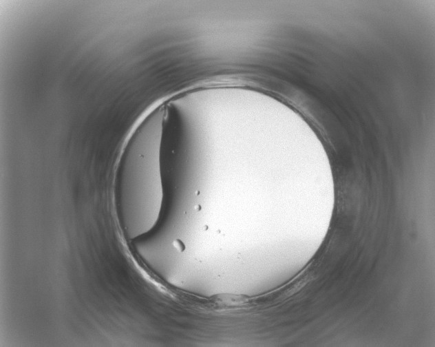 X0000052941484200508050842