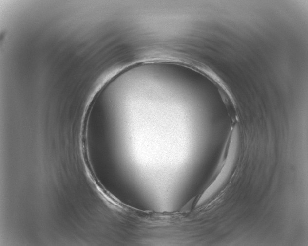 X0000052941485200508050842