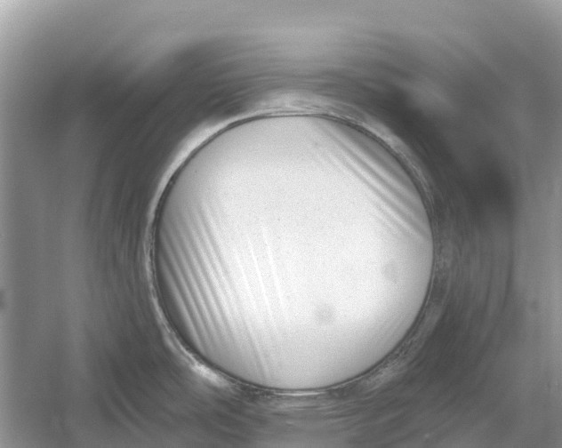 X0000052941486200508050842