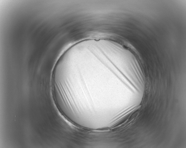 X0000052941487200508050842