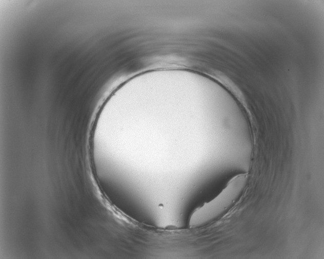 X0000052941488200508050842