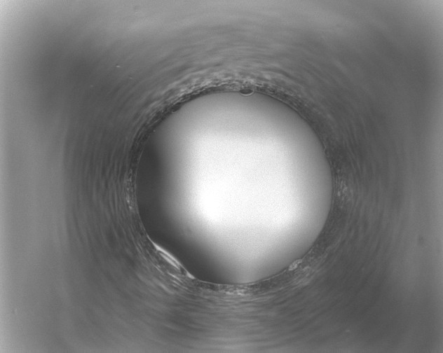 X0000052941490200508050842