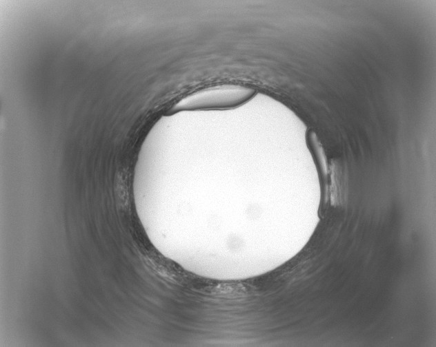 X0000052941491200508050842