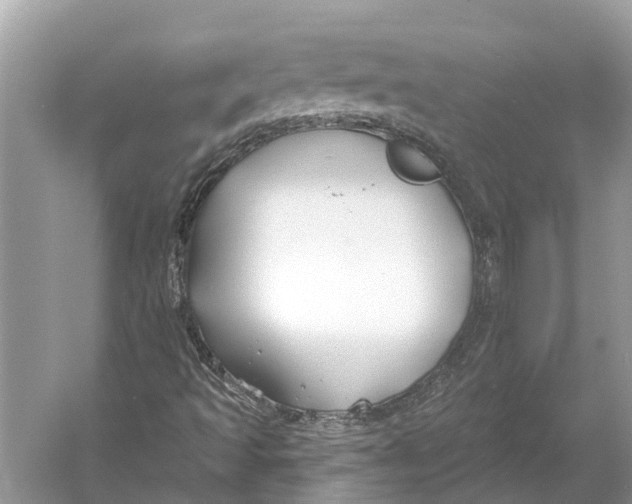 X0000052941493200508050842