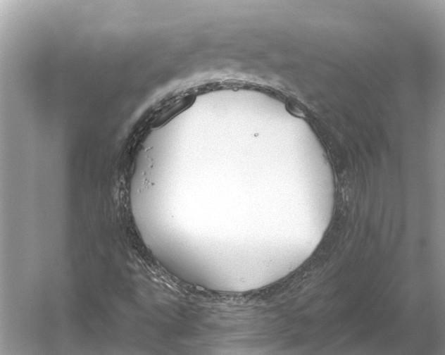 X0000052941495200508050842