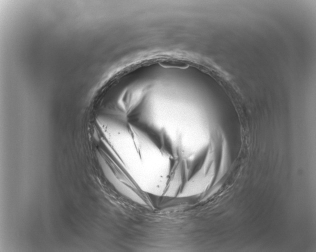 X0000052941496200508050842