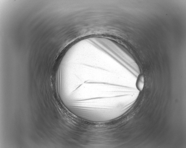 X0000052941497200508050842