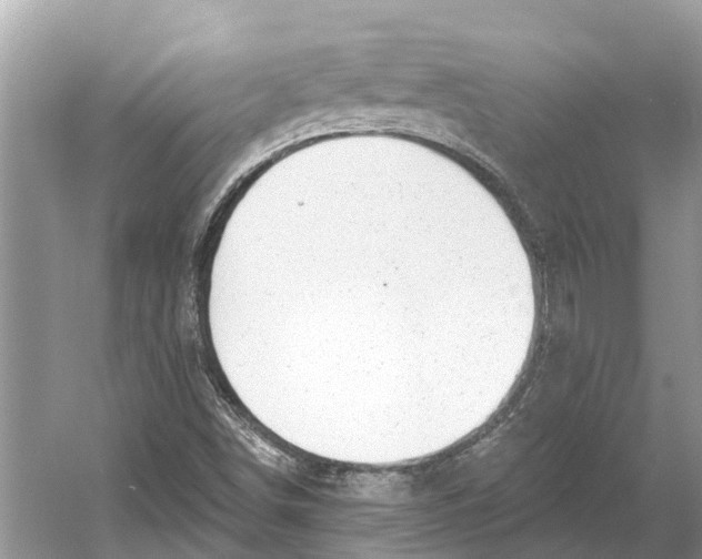 X0000052941498200508050842