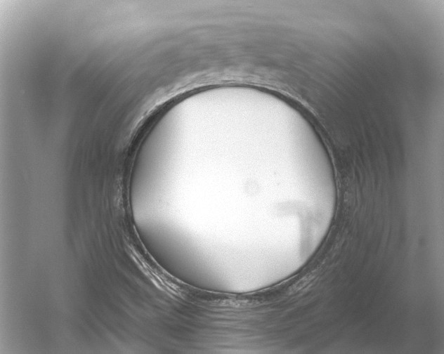 X0000052941499200508050842