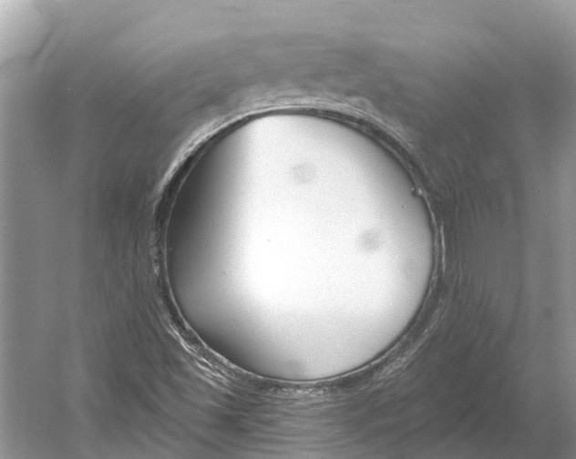 X0000052941501200508050842