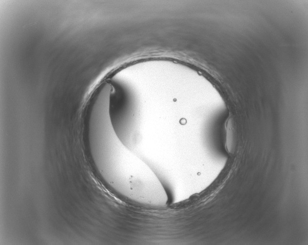 X0000052941502200508050842