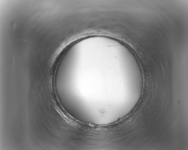 X0000052941503200508050842