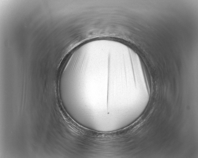 X0000052941505200508050842