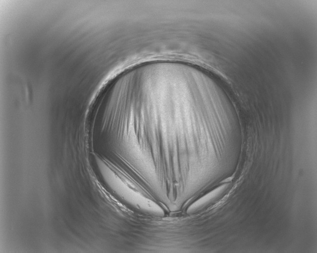 X0000052941506200508050842