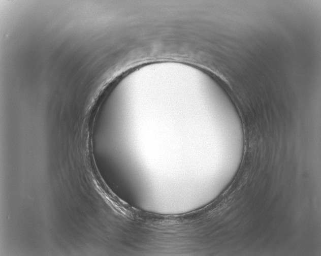 X0000052941507200508050842