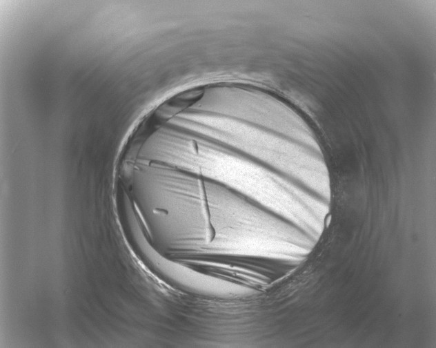 X0000052941508200508050842