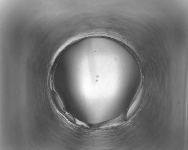 X0000052941510200508050842