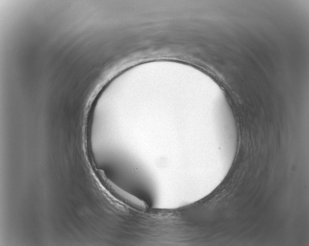 X0000052941512200508050842