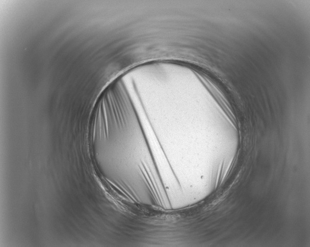 X0000052941513200508050842