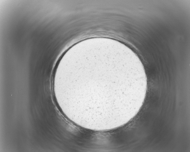 X0000052941514200508050842