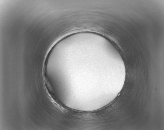 X0000052941516200508050842