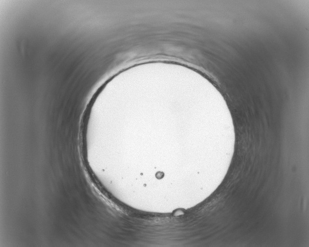 X0000052941518200508050842