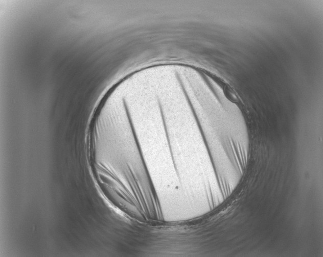 X0000052941519200508050842