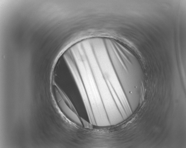 X0000052941520200508050842