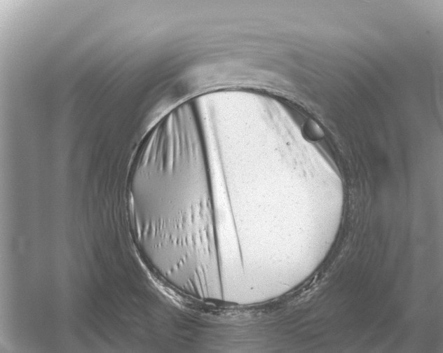 X0000052941521200508050842