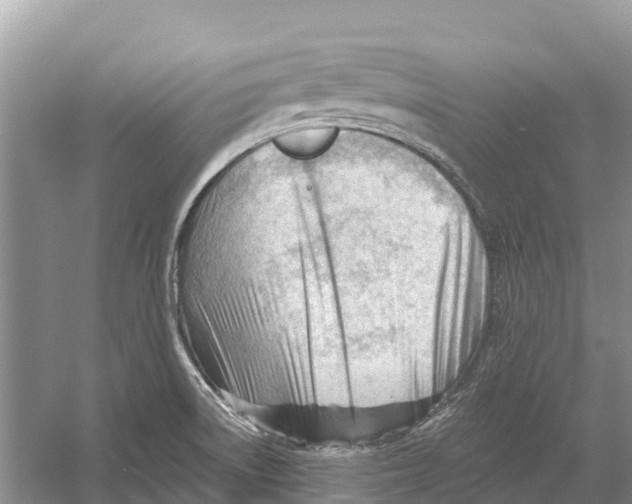 X0000052941522200508050842