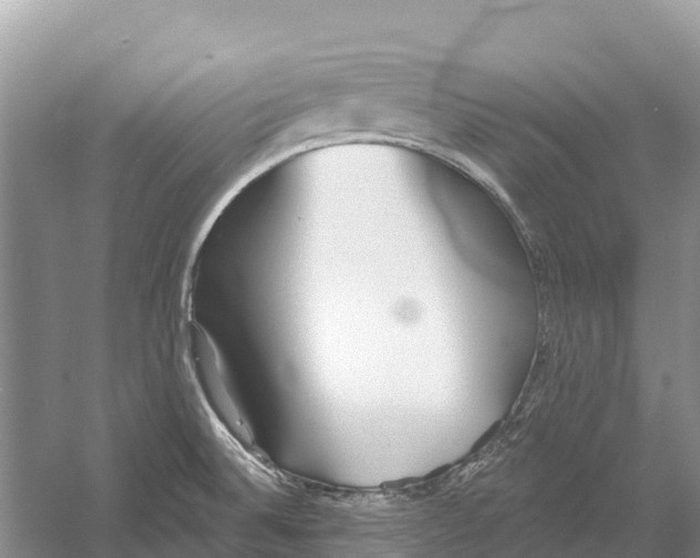 X0000052941524200508050842