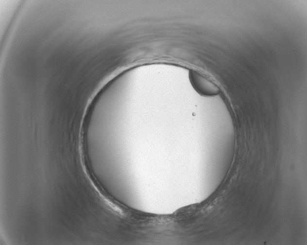 X0000052941525200508050842