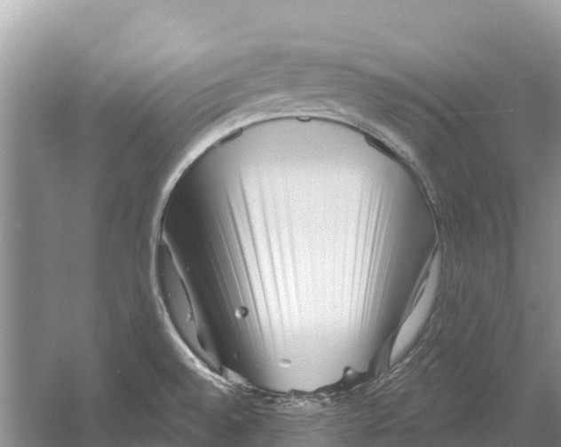 X0000052941528200508050842