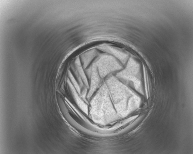 X0000052941529200508050842