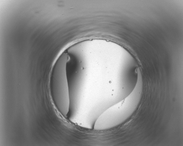 X0000052941530200508050842