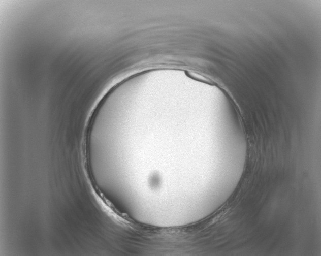 X0000052941531200508050842