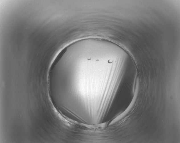 X0000052941532200508050842