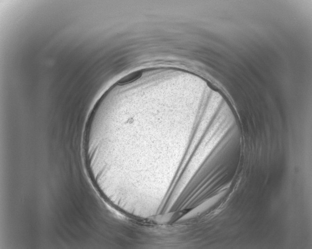 X0000052941533200508050842