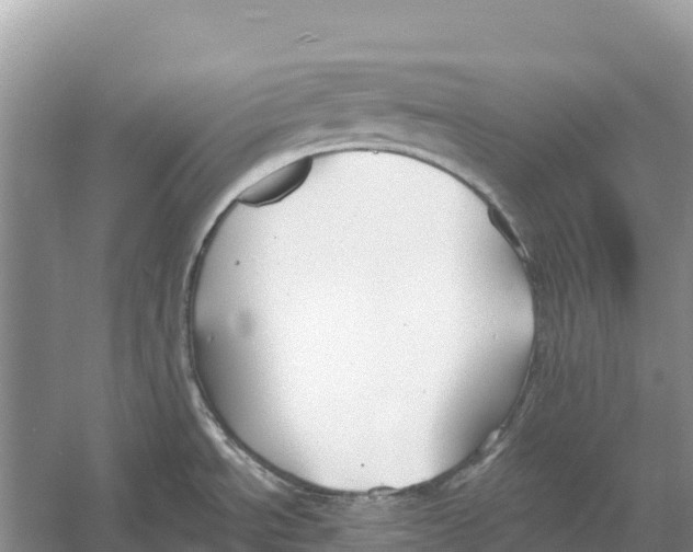 X0000052941534200508050842