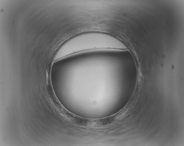 X0000052950109200507080837