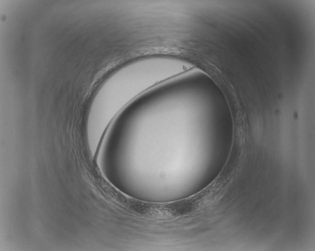 X0000052950207200507080835