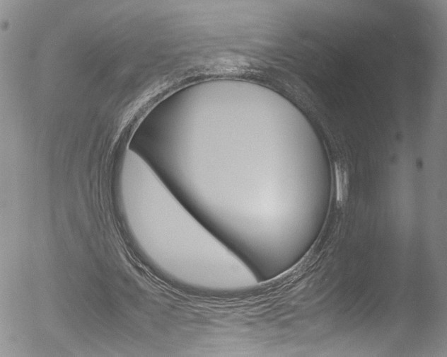 X0000052950675200507080827
