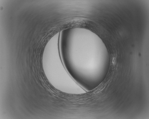 X0000052950771200507080826